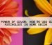 The Power of Color: How to Use Color Psychology in Home Decor